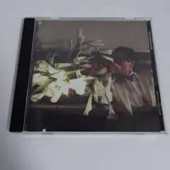 25 CARATS & 9.5 グラント CD