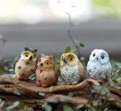 フクロウ　置き物　4個組