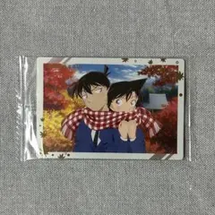 【匿名発送】名探偵コナン 工藤新一 毛利蘭 イタジャガ Vol.2