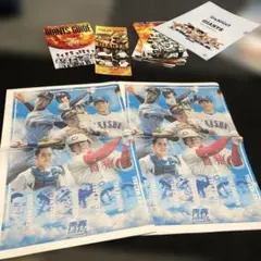 青春ジャイアンツ　新聞
