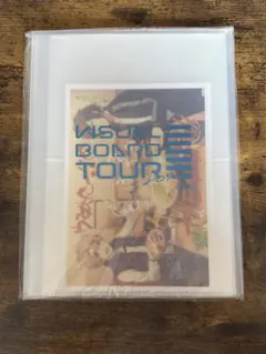 Item thumbnail for item 82242f6d-0ec8-4f6c-b617-3d28079bcab8