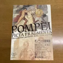 ポンペイの壁画 全2冊 岩波書店 定価4万2千円 SC2-YN 高級ブランド ポンペイの壁画 全2冊 岩波書店 定価4万2 SC2-YN