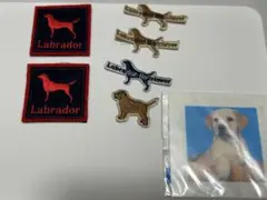 ラブラドール・レトリーバー ワッペンセット　犬　わんちゃん　アイロン