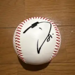阪神タイガース 佐藤輝明選手 直筆サインボール