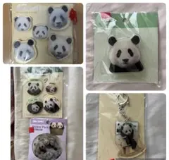 韓国エバーランドのBAO FAMILY 公式グッズセット