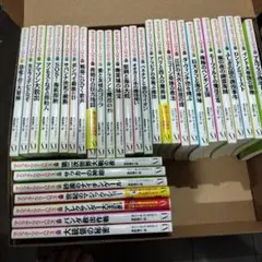【月初セール】マジックツリーハウス　1巻〜39巻　探検ガイド一冊　セット　まとめ マジック・ツリーハウス 第39巻 第二次世界大戦の夜」メアリー