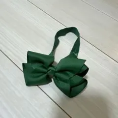 Item thumbnail for item a1b59dd9-35da-4654-9d30-244131328564