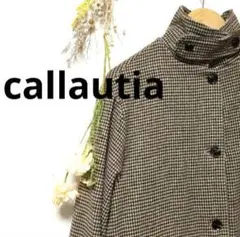 Item thumbnail for item dc16ad8a-5b1c-423f-b749-de49cfaf5db4
