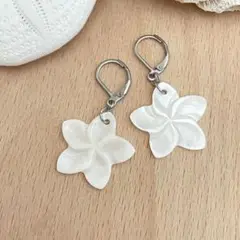 プルメリアシェル ハンドメイドピアス サージカルステンレス アレルギー対応