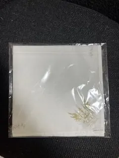 GACKT 大魔王生誕祭2025 お土産 スカーフ