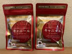 【新品未開封】サンクスアイ/キャニール2袋セット 2025年最新】サンクス キャニールの人気アイテム - メルカリ