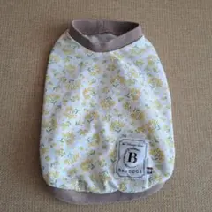 Item thumbnail for item e9b2db25-f6d4-4779-b591-043468b22caa