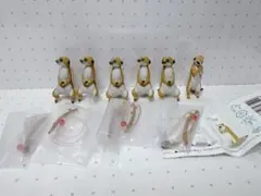 Item thumbnail for item bf1aae6c-3bc8-48fa-9721-f49aa0caf490