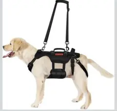 Item thumbnail for item 47a04f9a-92fb-4a91-8b07-c2029874967f