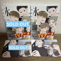 【新品未開封特典付】氷の城壁⑭