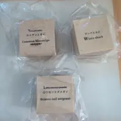 海遊館　スタンプ