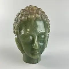 ラリレアキア カクティフォルメ　仏頭玉　子株付　実生　鉢ごと　安心のメルカリ便 ラリレアキア カクティフォルメ 仏頭玉／Larryleachia