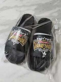 Item thumbnail for item 6ceb0615-dfe9-48d9-8403-8504d1e03d3e