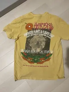 stussy organic T