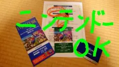 ニンテンドーワールド付き ユニバーサル 貸切ナイト チケット USJ 1名分