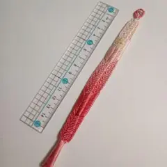 Item thumbnail for item de0a01d1-c37f-489c-92ac-b3cb4e100eaa