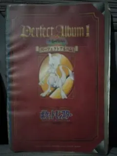 ポケットモンスター パーフェクトアルバム1　Perfect Album1