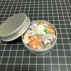 貝殻詰め合わせ　10