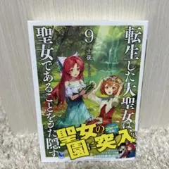 転生した大聖女は、聖女であることをひた隠す 9