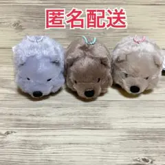 ずんぐりウォンピー マスコット