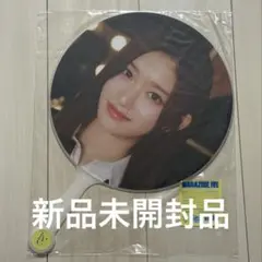 IVE イソ MAGAZINE IVE ファンミーティング うちわ 新品未開封品