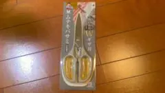 Item thumbnail for item 9bdec23a-ff03-417b-b9e9-a1d1a5d7c241