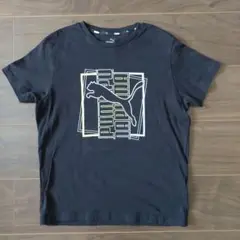 PUMA ブラック Tシャツ サイズ150