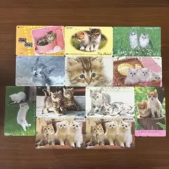 子猫シリーズ 使用済みテレホンカード 12枚セット