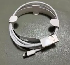 iPhone iPad 正規品　充電器　ケーブル
