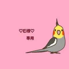 ミニコロ　セキセインコ　ペア　チャーム