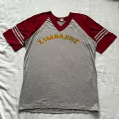 70s 80s unknown ラグラン　tシャツ ツートーン