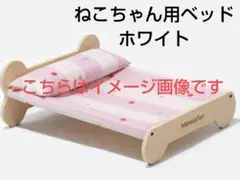 Item thumbnail for item db771e8f-f4a3-45a3-9763-b45c6d8925d2