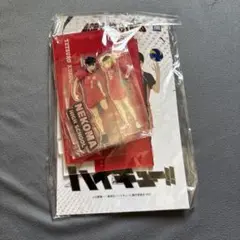 ハイキュー音駒アクスタ