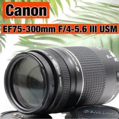 Item thumbnail for item 1df8665d-3a2a-4c57-b3fa-d919ed6edf64