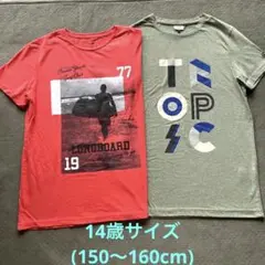 子供Tシャツ　14歳サイズ 2枚セット
