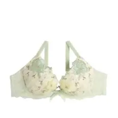 新品タグつき　リサマリ　アイヴィー ブラジャー　 サイズD65