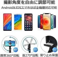 Item thumbnail for item ddb29038-99ed-4886-ae2f-418c841be1ba
