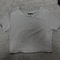 ZARA ストライプ クロップドTシャツ 半袖　ショート丈