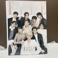 ELLE TREASURE １月号増刊　エル・ジャポン
