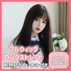 フルウィッグ ロングストレート 清楚系 ロング ブラック ネット付 Y00253