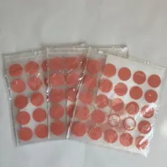 非売品　たまひよ　スライダーポーチ