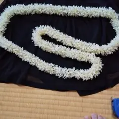 レイ