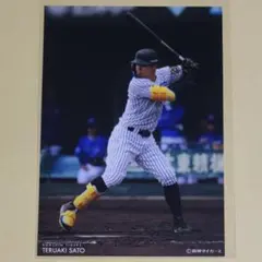 佐藤輝明 阪神タイガース ラッフルくじ ブロマイド