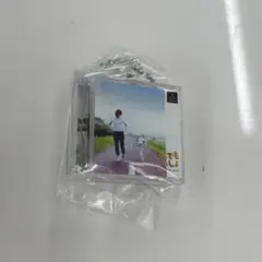 プレイステーション ゲームパッケージミニチュアチャーム どこでもいっしょ