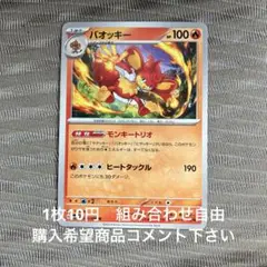 バオッキー　在庫3